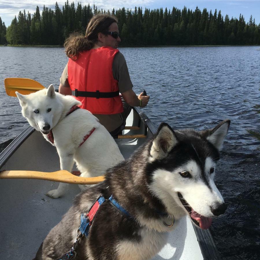 Cabin On Husky Farm Strömsund エクステリア 写真
