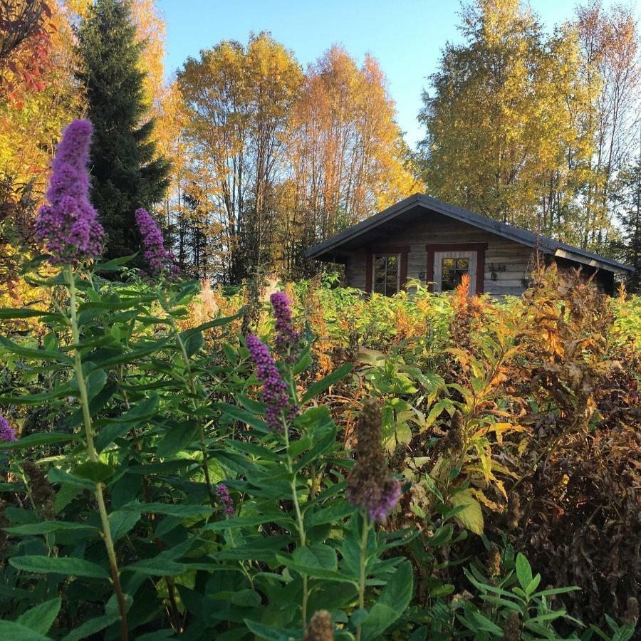 Cabin On Husky Farm Strömsund エクステリア 写真